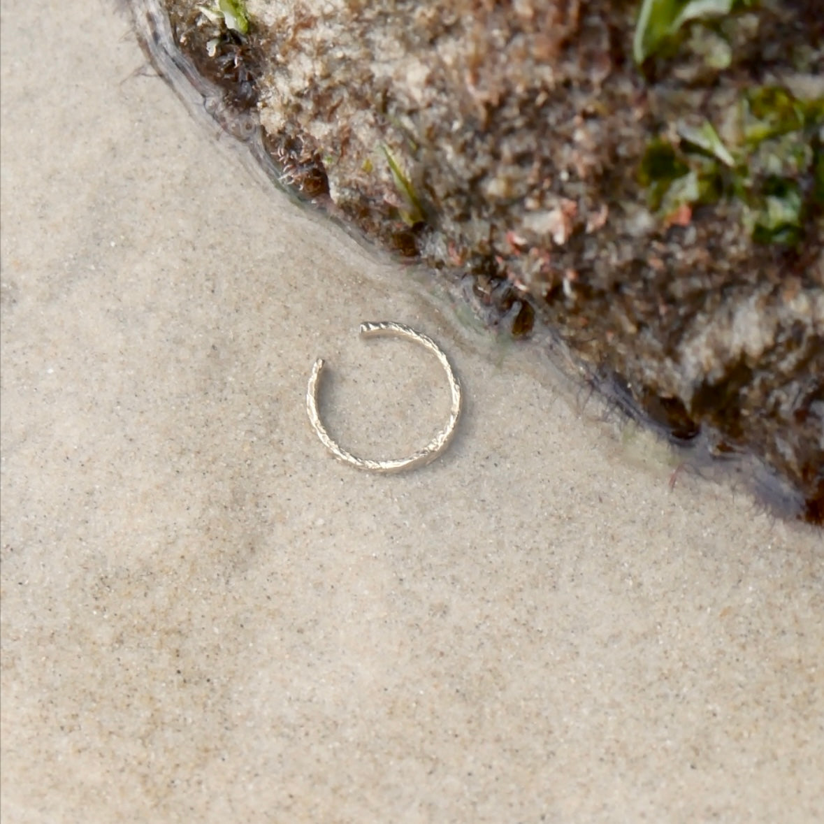 Shoreline Ring