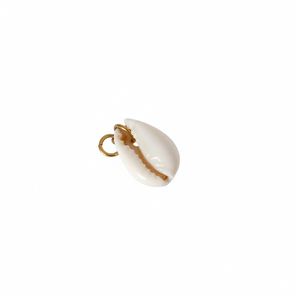 Real Seashell