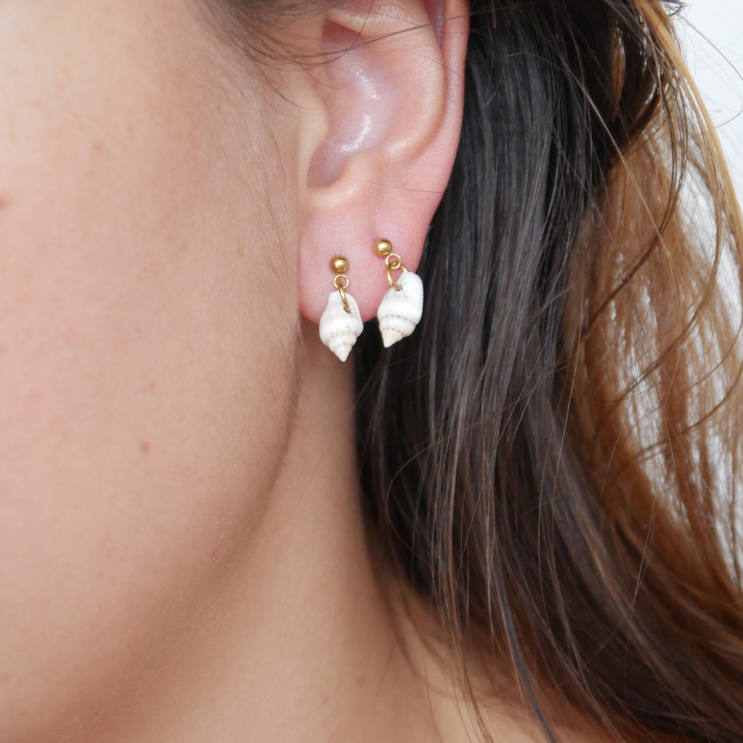 The Seashell Studs