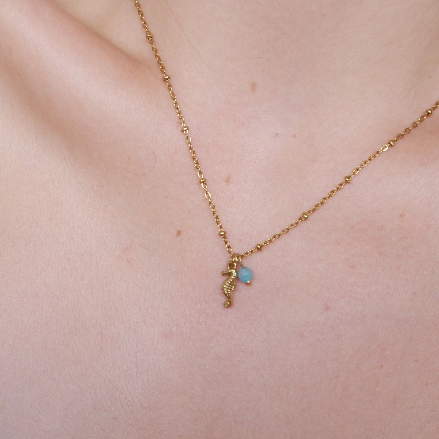 The Little Seahorse Necklace