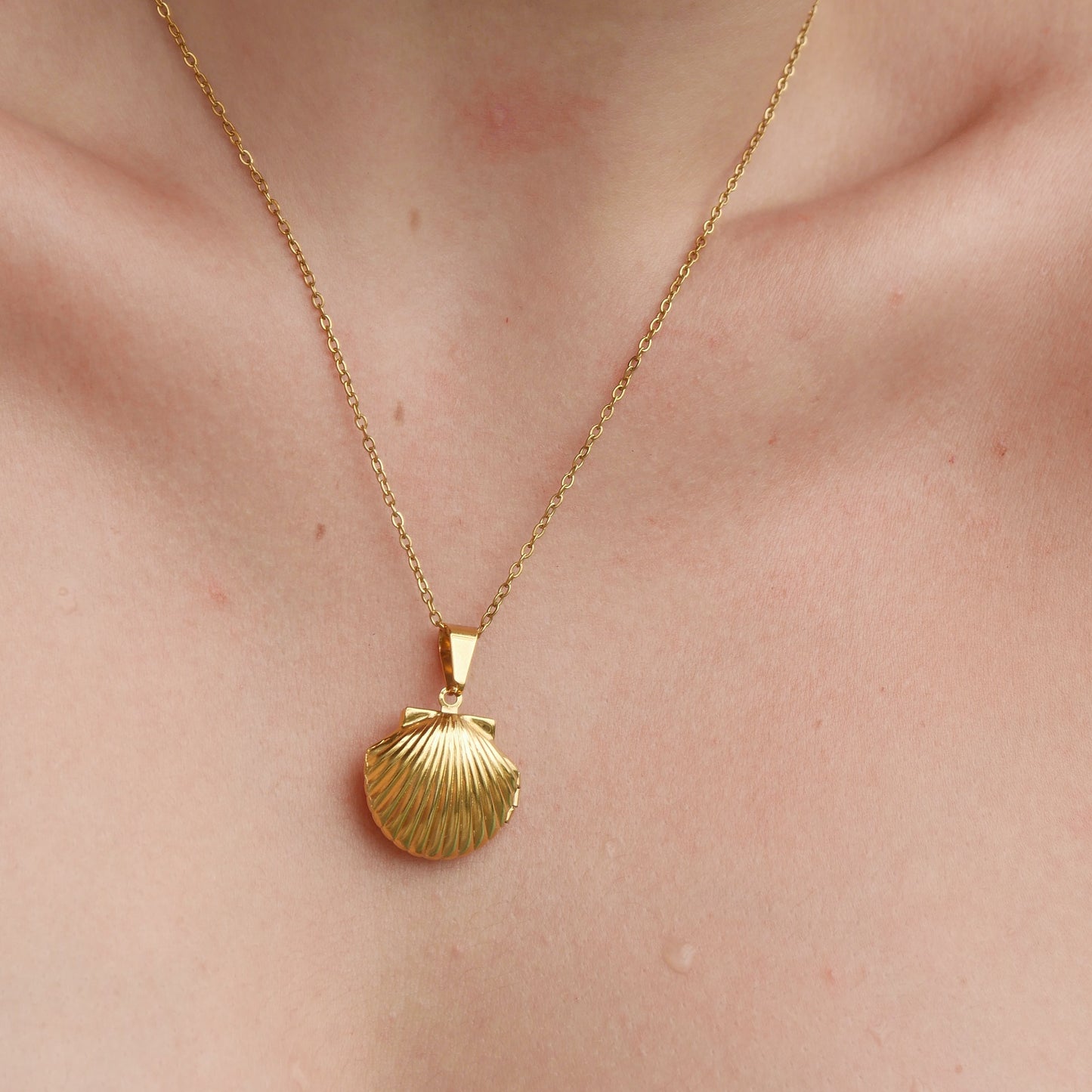 The Shell Locket Necklace