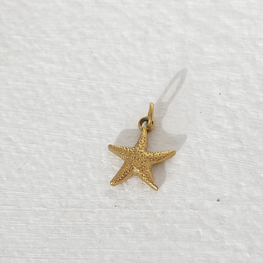 Starfish Charm