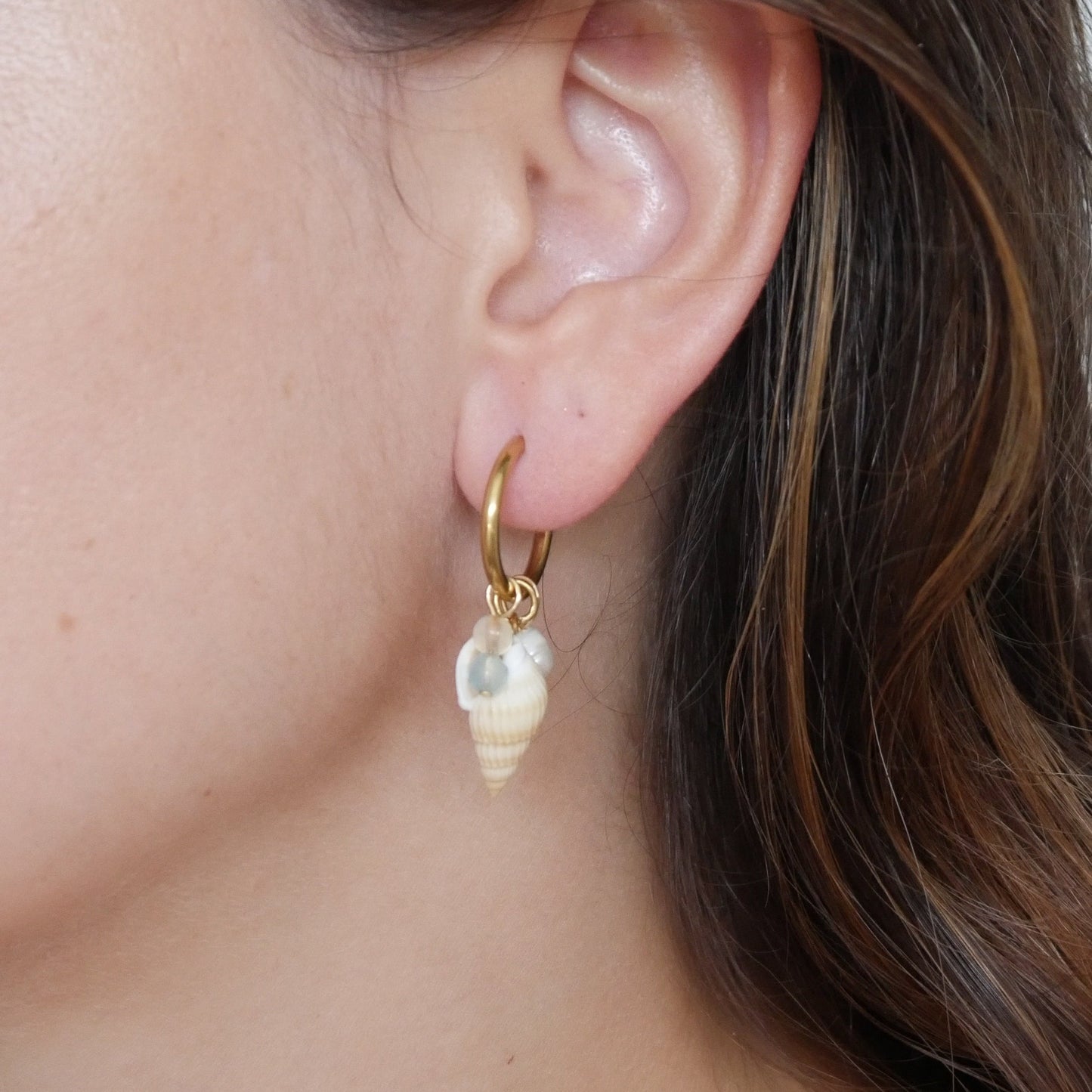 The Shell Hoops