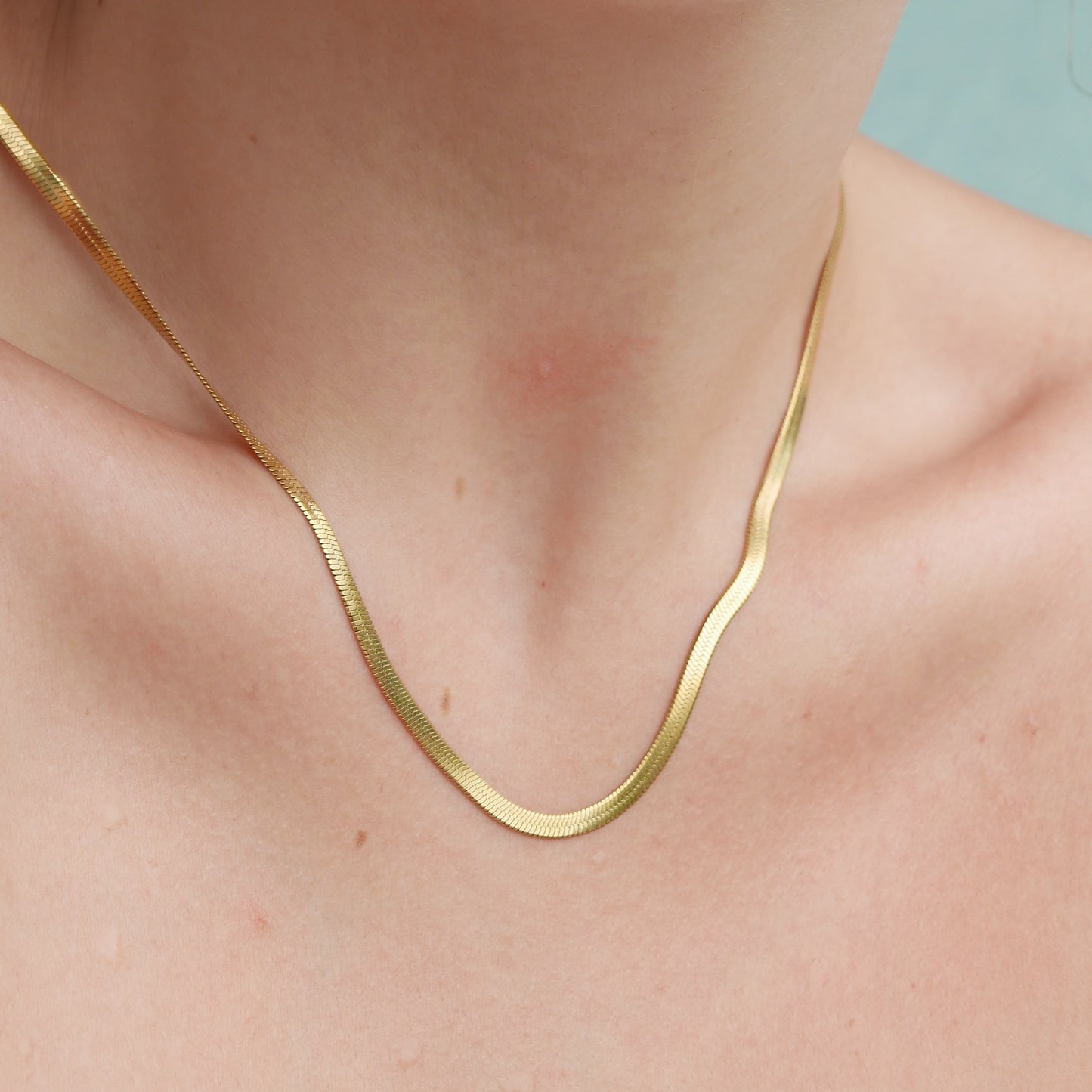 The Snake Chain Necklace