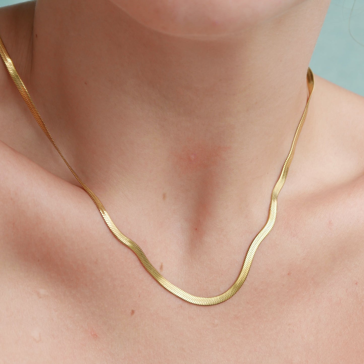 The Snake Chain Necklace