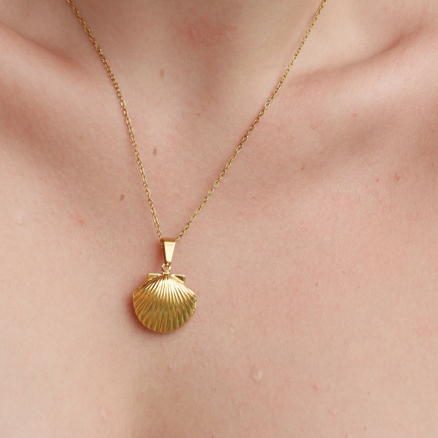 The Shell Locket Necklace