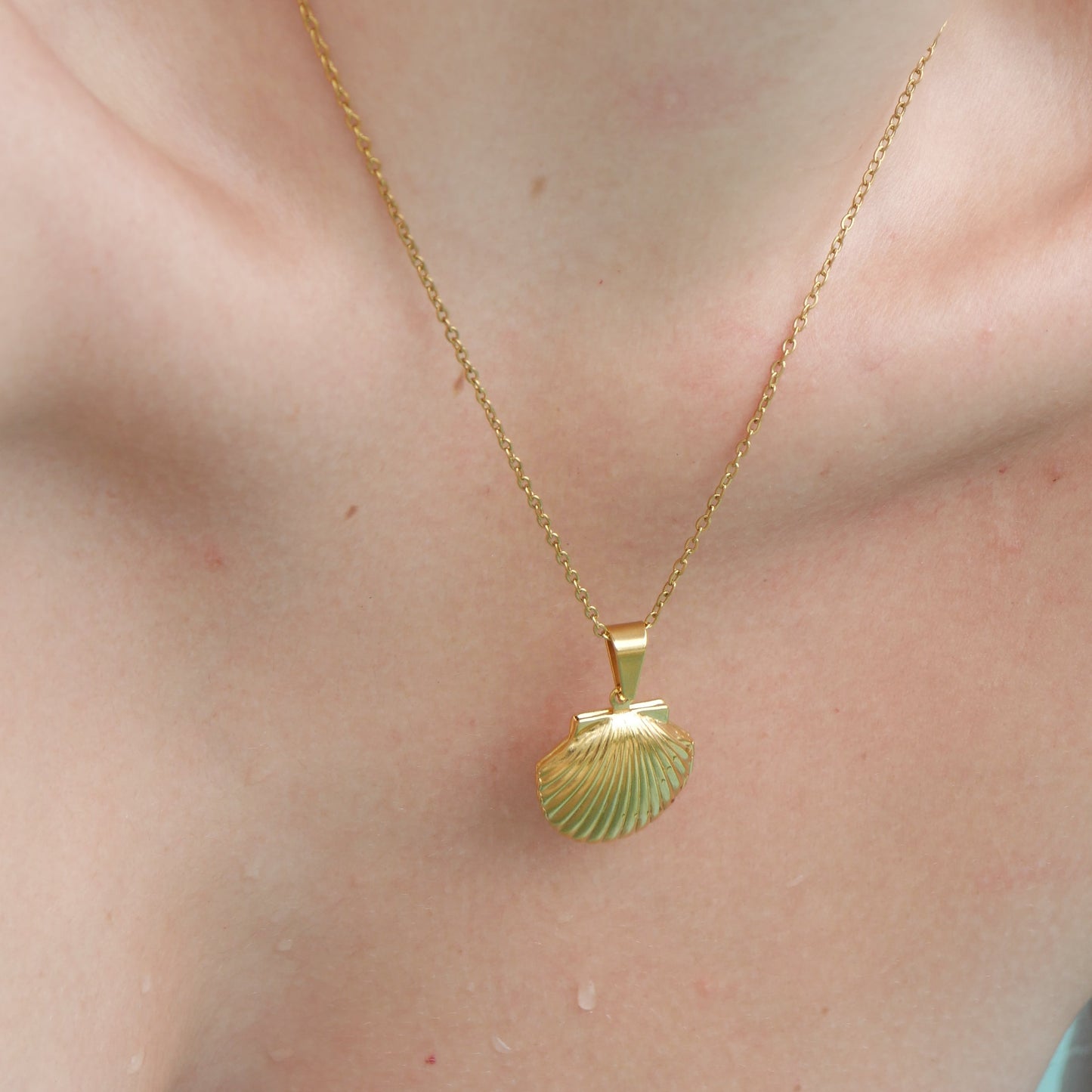 The Shell Locket Necklace