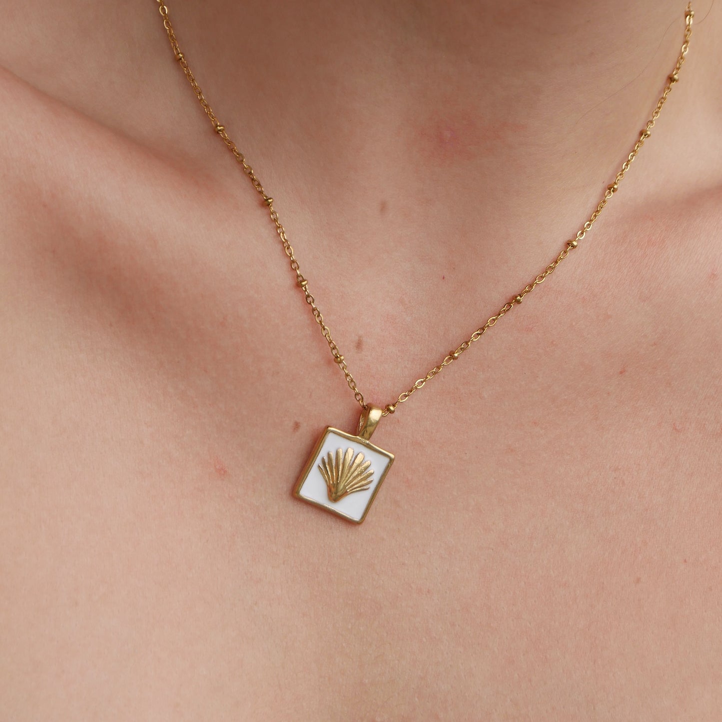 The Shell Fossil Necklace