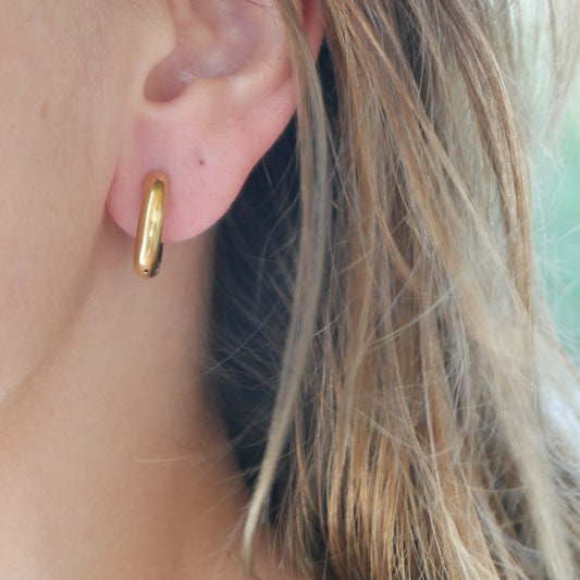 Small Gold Hoops