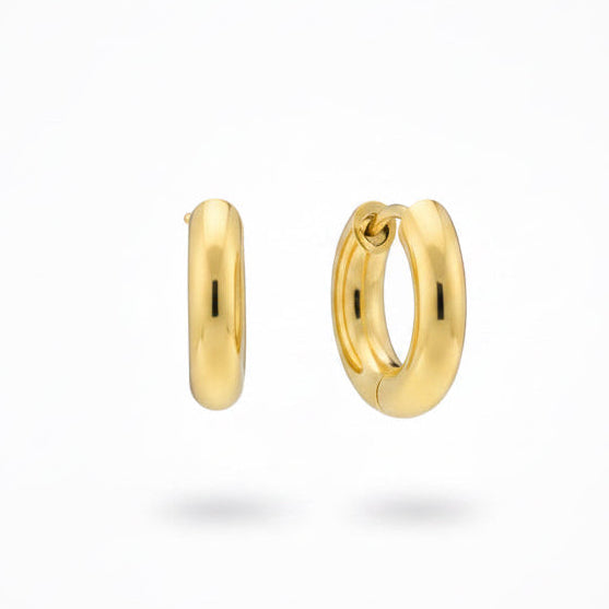 Small Gold Hoops